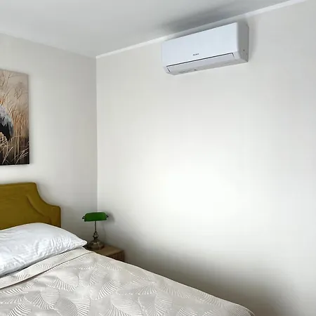 Kam-eko Zabkowska * ワルシャワ